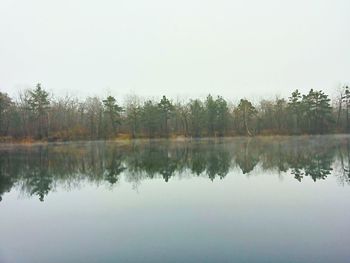 Reflection of trees in calm lake