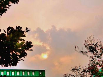 Low angle view of trees against sky