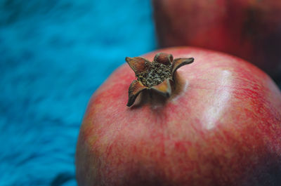 Close-up of apple