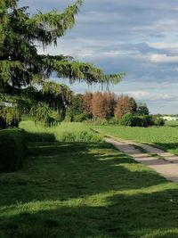 Scenic view of landscape against sky