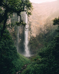 Scenic view of waterfall in forest