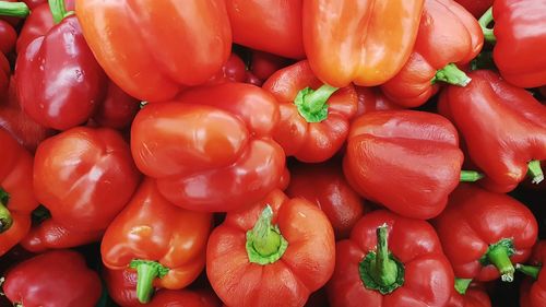 Full frame shot of tomatoes