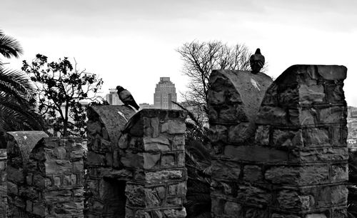Low angle view of bird perching against sky