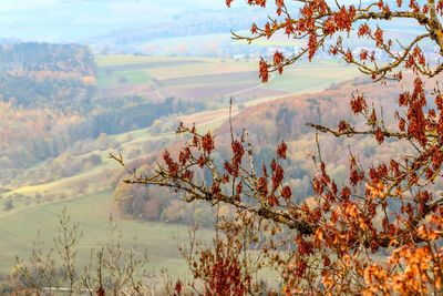 Scenic view of landscape during autumn
