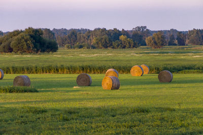 Hay bales on field against sky