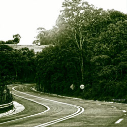 Road amidst trees against sky