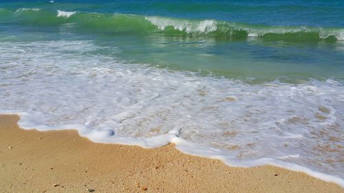 Scenic view of beach