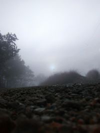 Surface level of wet landscape against sky