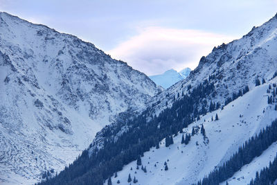 Snow-covered slopes and peaks in a high-mountain gorge