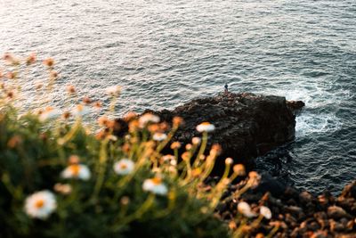 High angle view of rocks with a fisher at sea shore