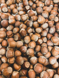 Full frame picture of fresh organic hazelnuts. food background