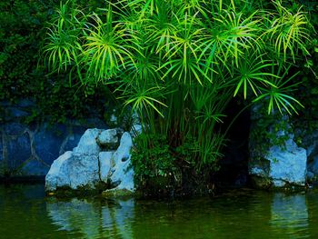 Scenic view of sea