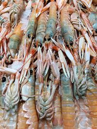 Full frame shot of prawns for sale in market