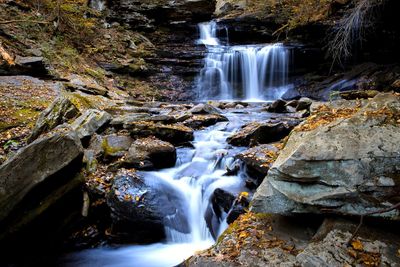 View of waterfall in forest