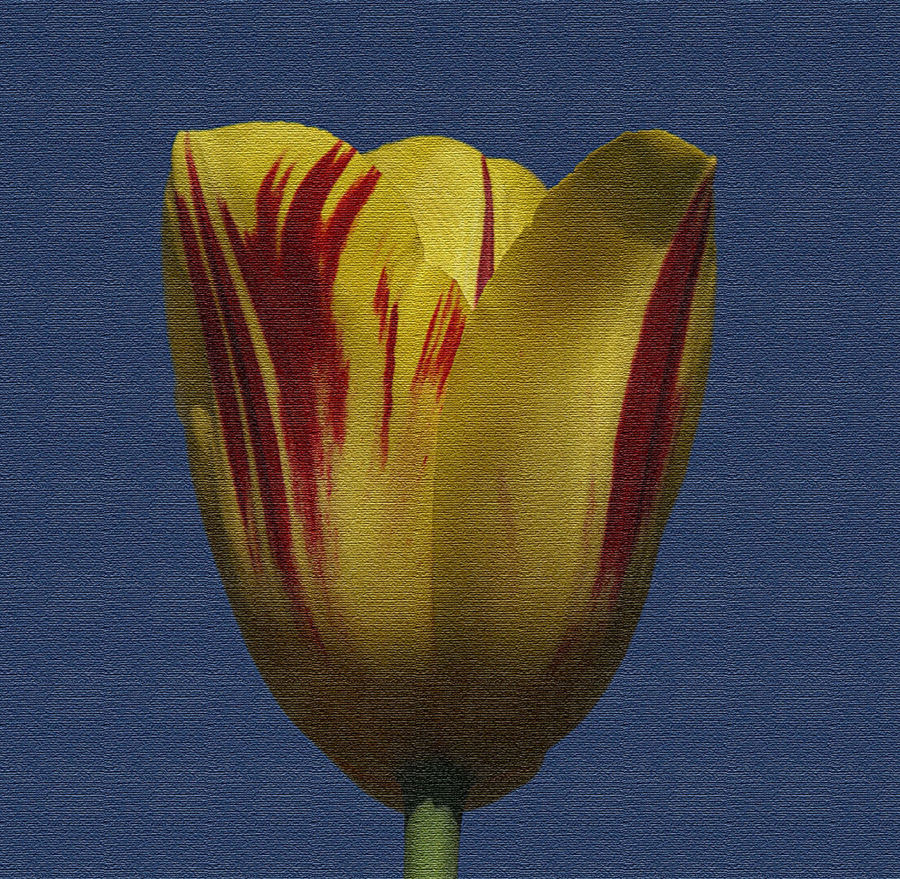 CLOSE-UP OF HEART SHAPE ON MULTI COLORED BALLOON