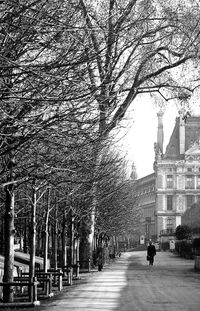 Trees in city against sky