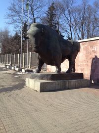 View of horse statue