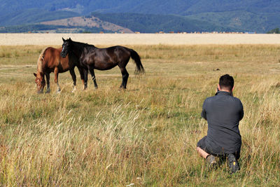 Rear view of man photographing horses