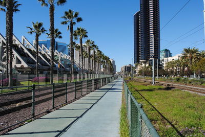 Panoramic shot of palm trees and plants against sky