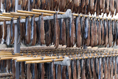 Close-up of drying fishes which are herrings and saury