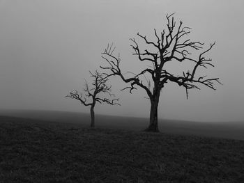 Bare tree on landscape against clear sky