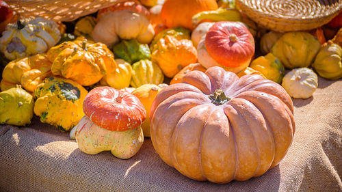 High angle view of pumpkins