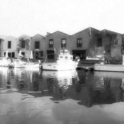 Reflection of buildings in water