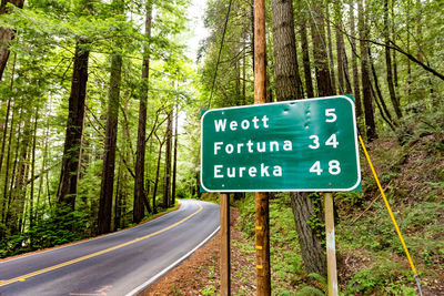 Road sign by trees in forest