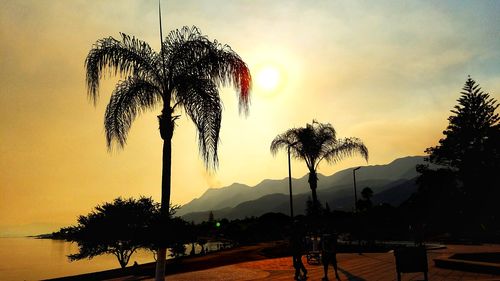 Silhouette palm trees against sky during sunset