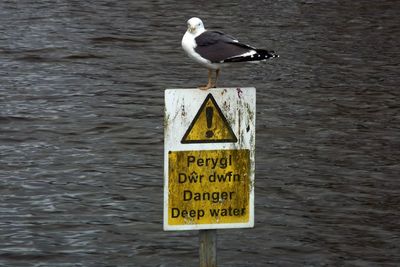 Sign board on road