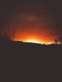 Silhouette trees against sky during sunset