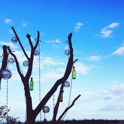 Low angle view of plants against sky