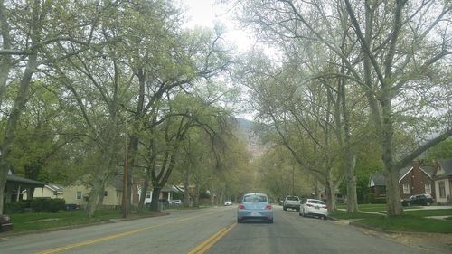 Car on road