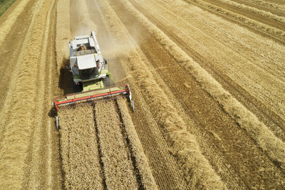 Drone view of combine harvester collecting grain in summer