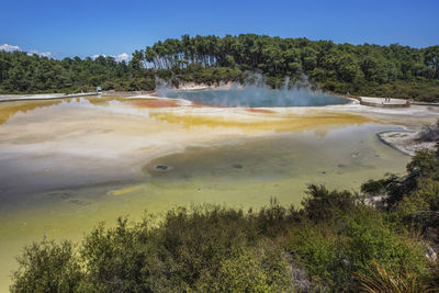 Smoke emitting from geyser against trees