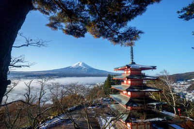 View of trees on mountain against blue sky