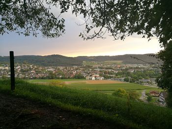 Scenic view of rural landscape