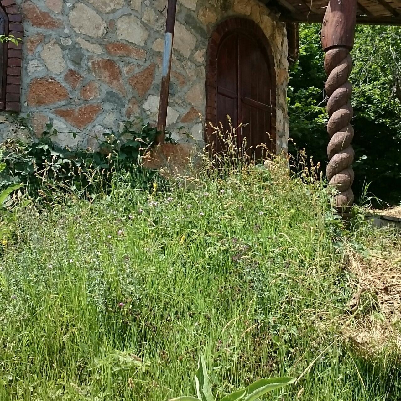 grass, plant, built structure, growth, architecture, grassy, field, green color, building exterior, front or back yard, fence, house, nature, outdoors, day, no people, lawn, old, abandoned, tree trunk