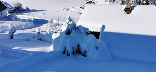 Scenic view of snow covered field