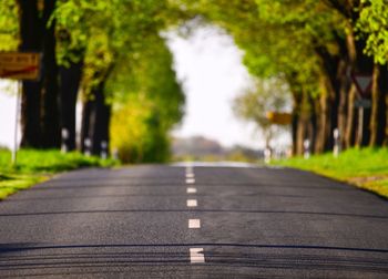 Close-up of road amidst trees