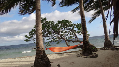 Coconut palm trees on beach against sky