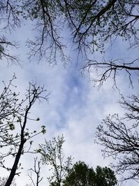 Low angle view of silhouette trees against sky