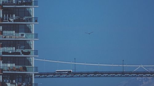 Low angle view of bird flying over bridge against clear sky