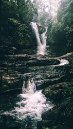 Scenic view of waterfall in forest