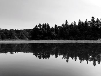 Reflection of trees in lake against clear sky