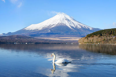 Scenic view of lake by snowcapped mountain against sky