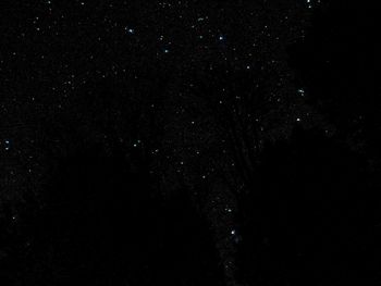 Low angle view of stars in sky