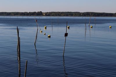 Sailboats in lake against sky