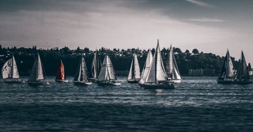 Sailboats sailing in sea against sky