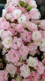 Close-up of pink bouquet